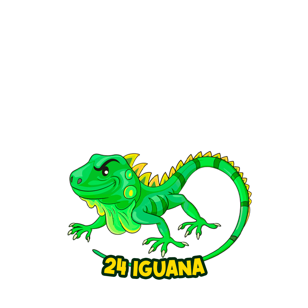 Resultado 24