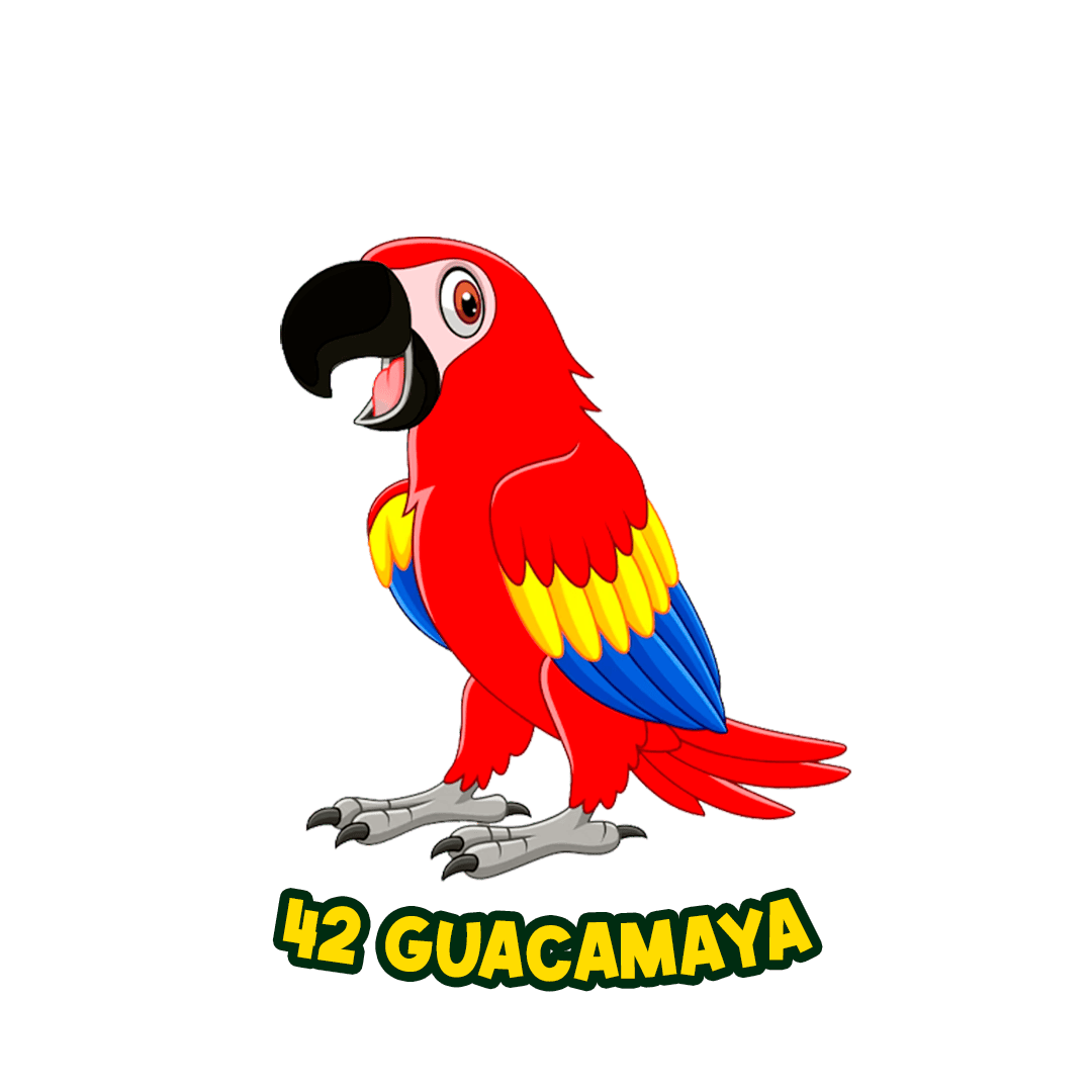 Resultado 42