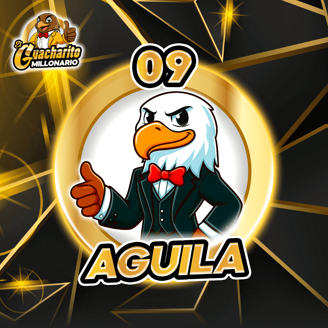 Resultado 09