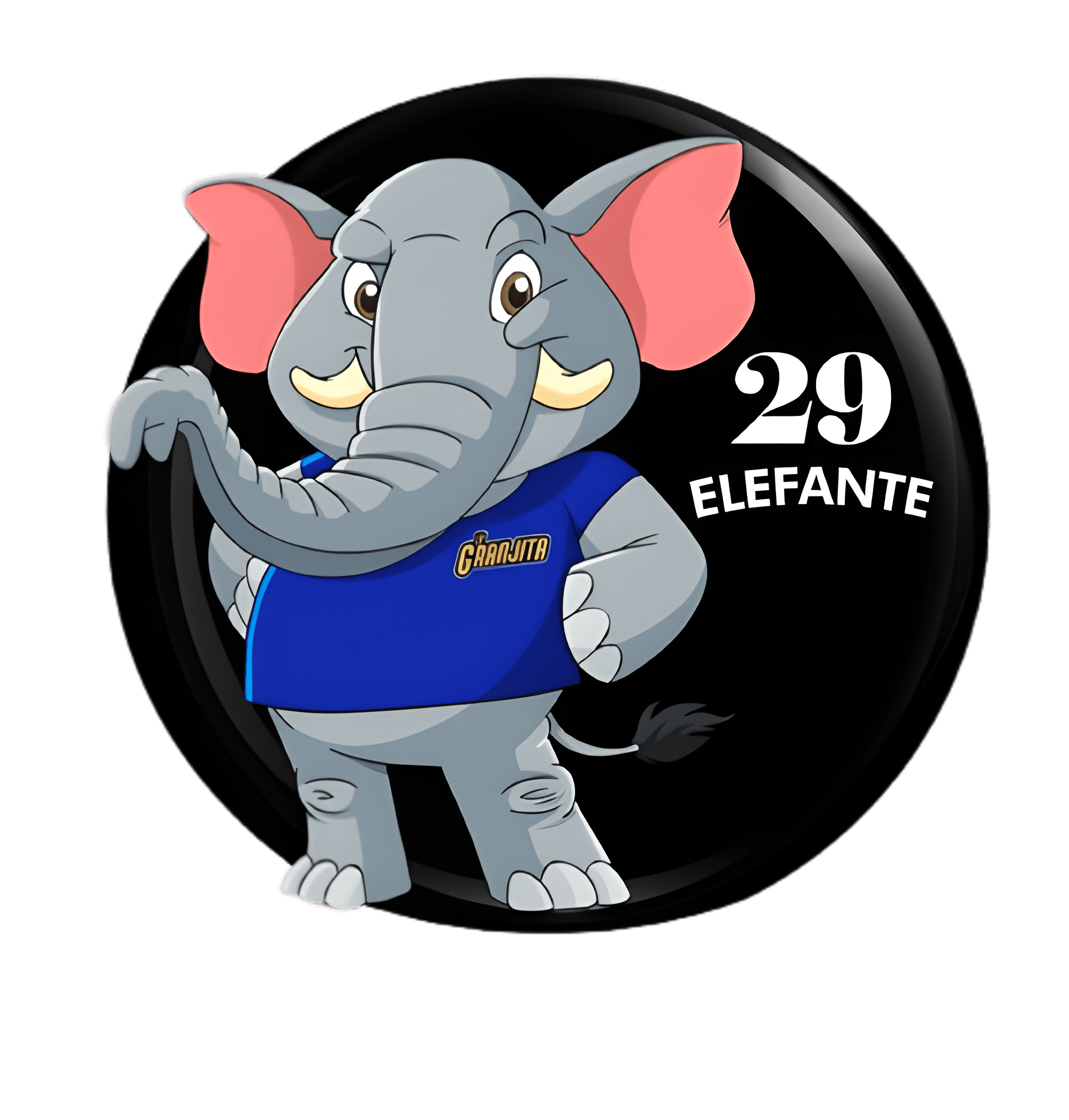 Resultado 29