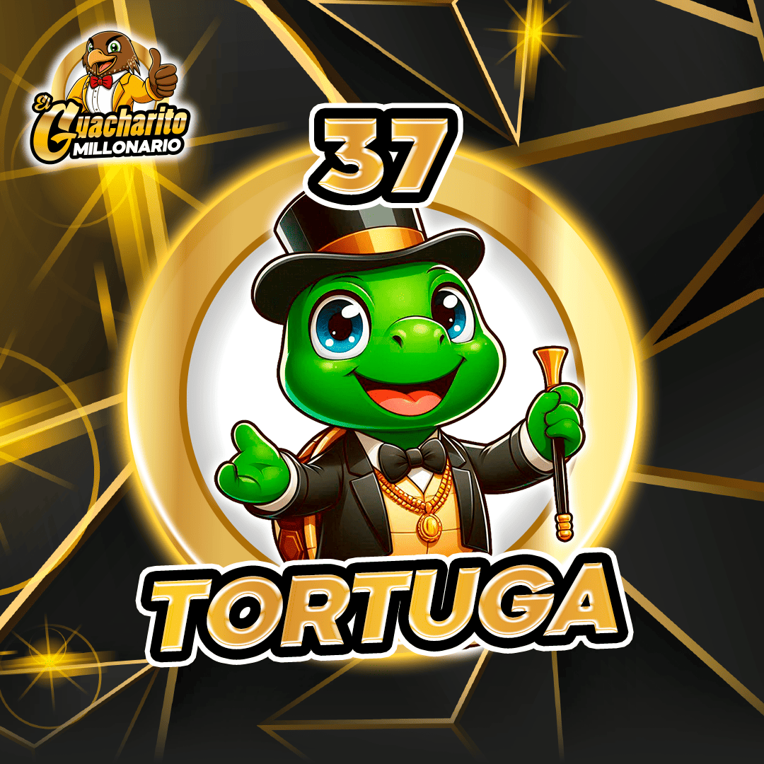 Resultado 37
