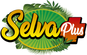 Resultado 